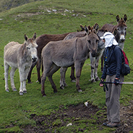 Socializing in the Huayhuash